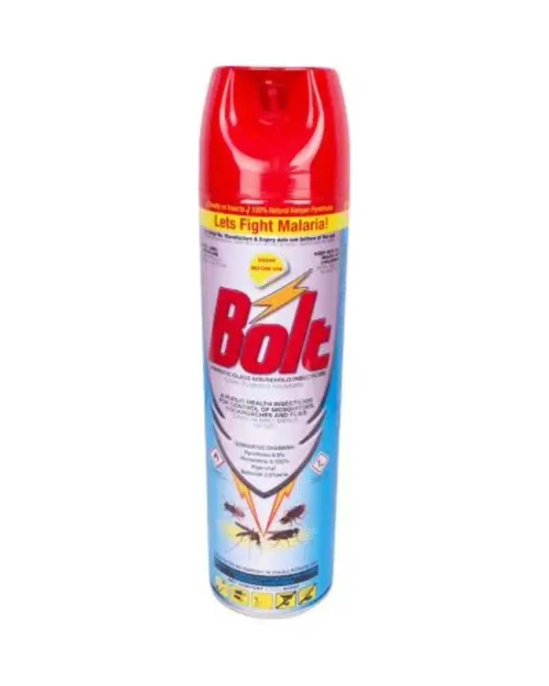 Bolt Insecticide Odourless 400Ml